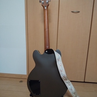 Epiphone ( エピフォン ) Tom Delonge Signature ES-333 【 トム・デロング エレキギター セミアコ】の画像