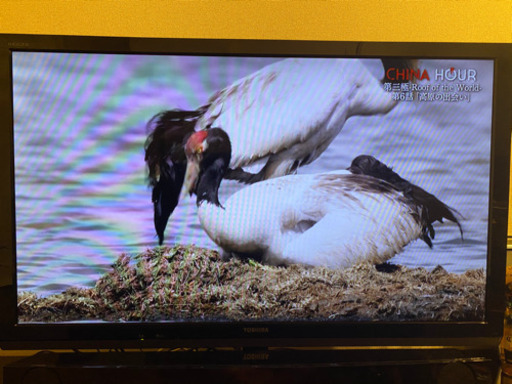 東芝　レグザ４７インチ