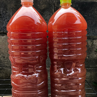 自家製濃縮PSB 2L 1000円