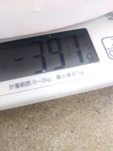吉野川産　天然うなぎ　ウナギ　３９１ｇ