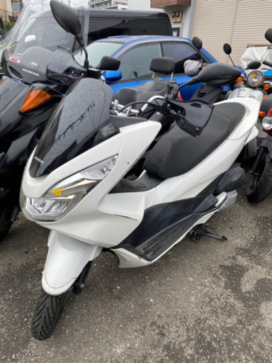HONDA  pcx125-2型　JF56-12 実動　福岡市南区