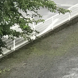 フェンスを