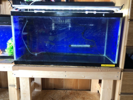 水槽セット  個々購入ok