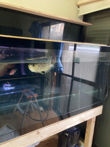 1500  アクリル　水槽