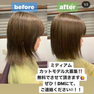 カットモデル　ボブ　募集の画像
