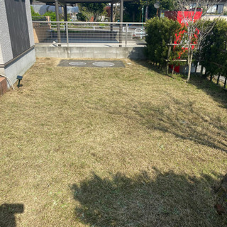 お庭、駐車場、空き地の草取り、草刈り