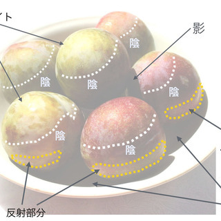 水彩の通信教育 ：福井良佑の自宅で学べる水彩画レッスンの画像