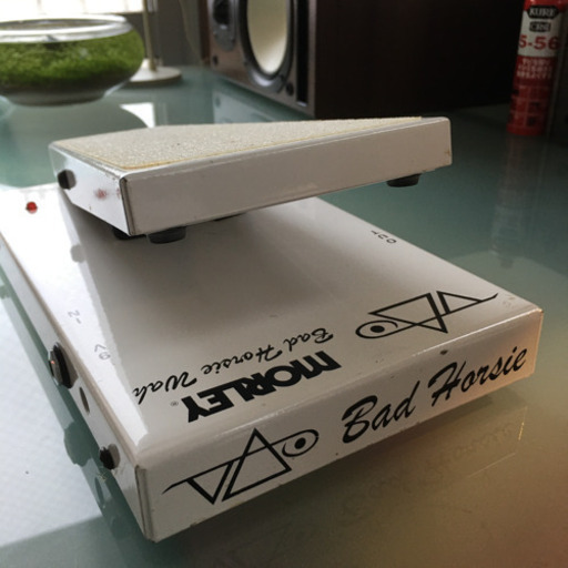 Morley10周年記念スティーブヴァイ