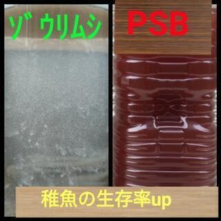 中止
🐟️よく湧いたゾウリムシ⭐️濃縮PSB🔴お好きな量🐟️めだ...