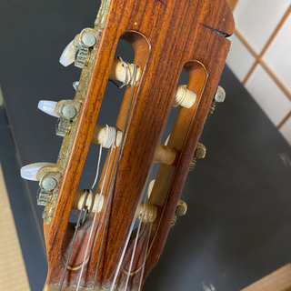 <決まりました>アコースティックギターの画像