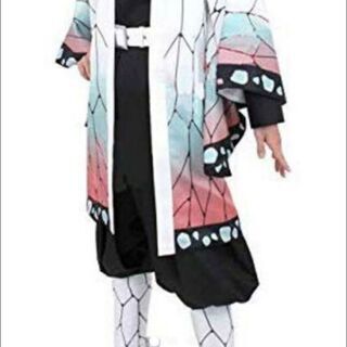 鬼滅の刃 胡蝶しのぶ コスプレ衣装 ウィッグつき Mサイズ