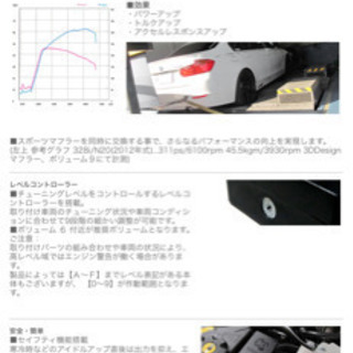 高橋メアリージュン キレートレモン 直筆サイン入り写真