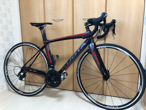 2017年モデルクオータ　クーガー　sサイズ