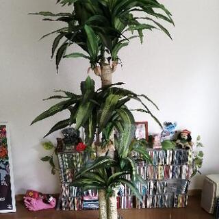 観葉植物　ユッカ　人工　フェイクグリーン　配送可　造花　インテリア