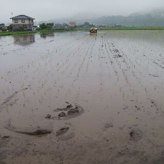 週4出られる方歓迎。長期、短期間どちらでもオッケーの画像