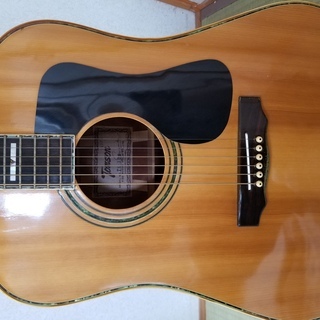 ギター Tomson TG-300 Tomson TG-300   '70s2.jpg