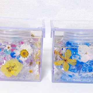 3Dデオドラントケース（芳香、消臭剤）の画像