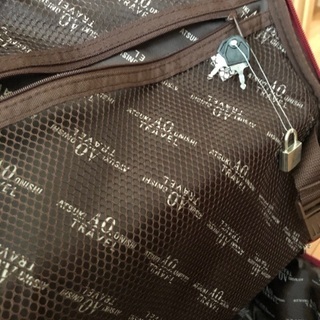 アツコマタノカートキャリー　【あげます】の画像