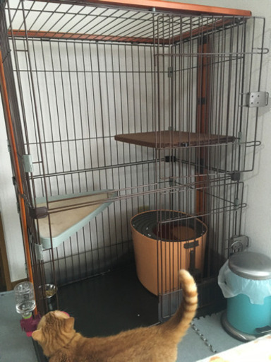 キャットゲージ　2階建　ブラウン