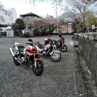 バイク呑み仲間募集
