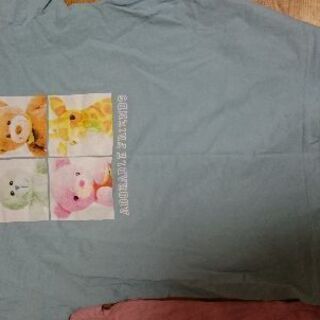 Tシャツ(レディース)の画像