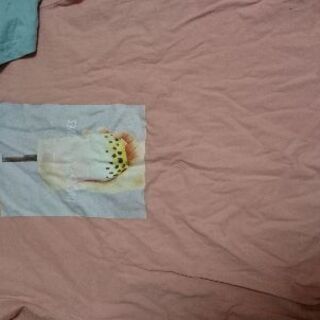 Tシャツ(レディース)の画像