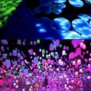 チームラボ お台場 エントランスチケット ペア  eチケット 7月11日迄 の画像