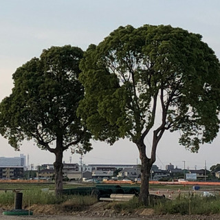 こんばんは〜 - 刈谷市