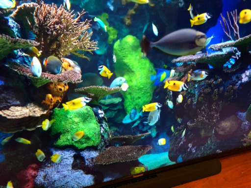 格安❗️大型❗️パナソニック　ビエラ　65インチ　液晶テレビ　65型　これ以上値下げしません❗️