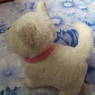 犬のおもちゃの画像