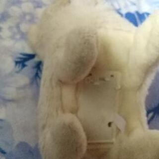 犬のおもちゃの画像
