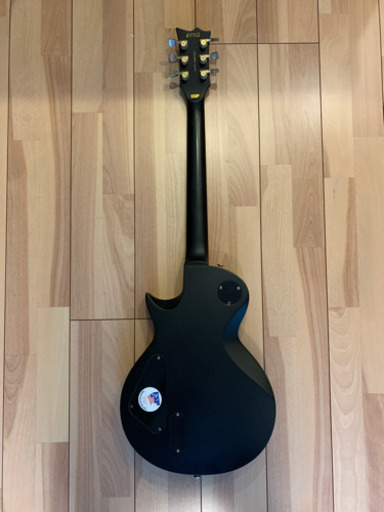 ESP LTD EC-1000 VINTAGE BLACK