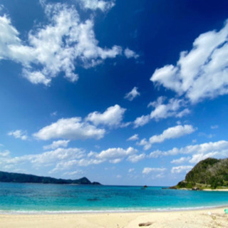 急募7/7(火) 午前中3時間程度の引越し作業