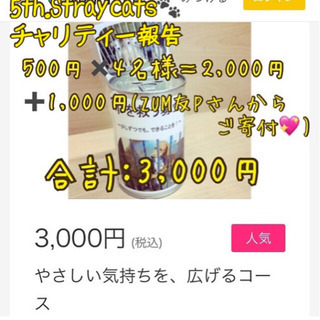 ZUMBAサークル　Stray cats🐾参加者募集の画像