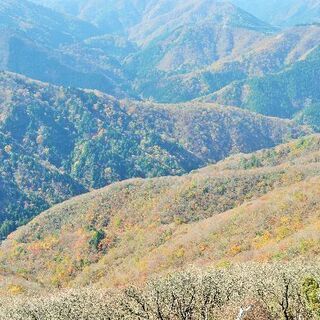 登山仲間募集