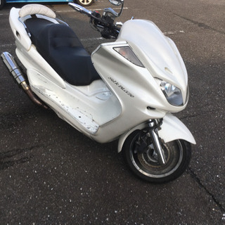 マジェスティc  の画像