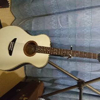 【あのＡＰＸシリーズをオトクに手に入れるチャンス！！】ヤマハエレ...