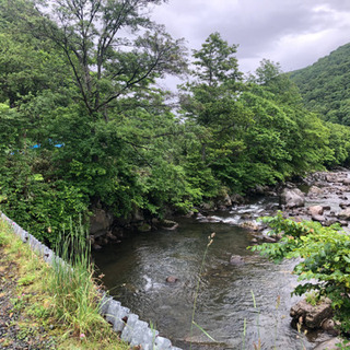 遊休地　休閑地　森　山林　原野　譲って下さい。