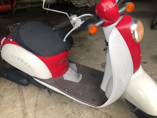 クレアスクーピー　在庫多数