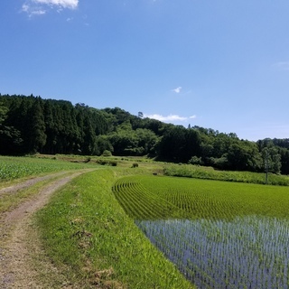 不動産0円物件＃24那須白河　2,800坪を越える敷地+戸建 − 福島県