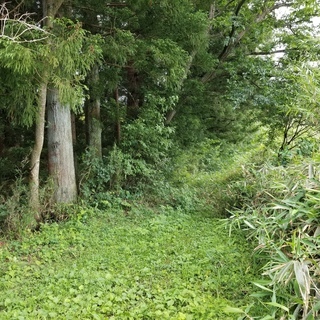 不動産0円物件＃24那須白河　2,800坪を越える敷地+戸建 - 不動産