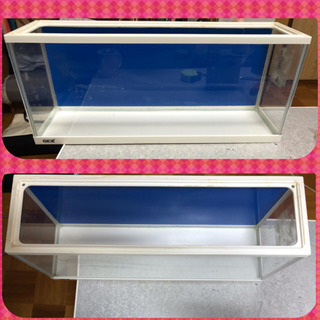 60センチ スリム　水槽　セット