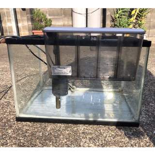 45センチ　水槽　セット
