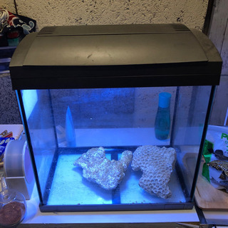 ニッソー　小型水槽　一体型水槽の画像