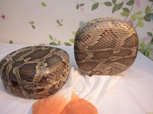新品未使用　16.500円　蛇皮強化(二重張)型チーガ二個セット　手持ちから選択持ち帰り