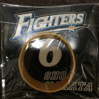 日本ハムファイターズ　応援シリコンバンドの画像