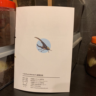 ^_^ ヘラクレスオオカブト飼育日記！！の画像