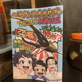 ^_^ ヘラクレスオオカブト飼育日記！！の画像