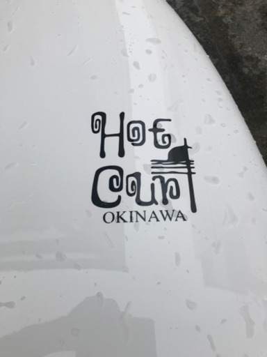 Hot Curl エポキシフィッシュ