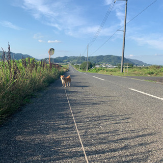 グループチャット大募集＼(*⌒0⌒)♪現在43名